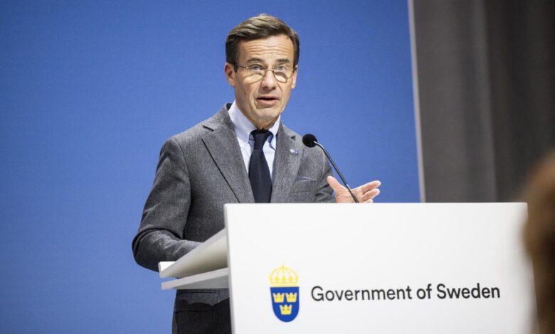 taavi frandsen
